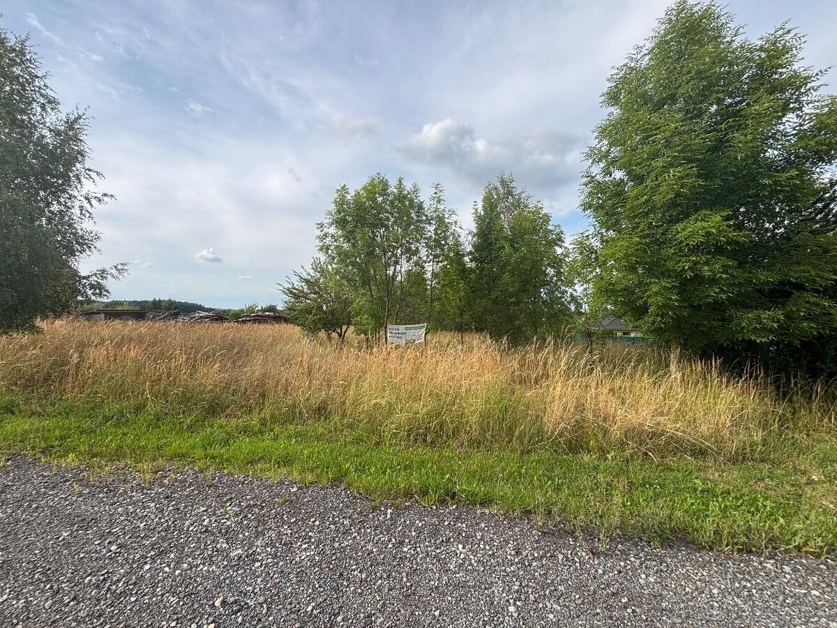 Prodej pozemek pro bydlení - Heřmanův Městec, 538 03