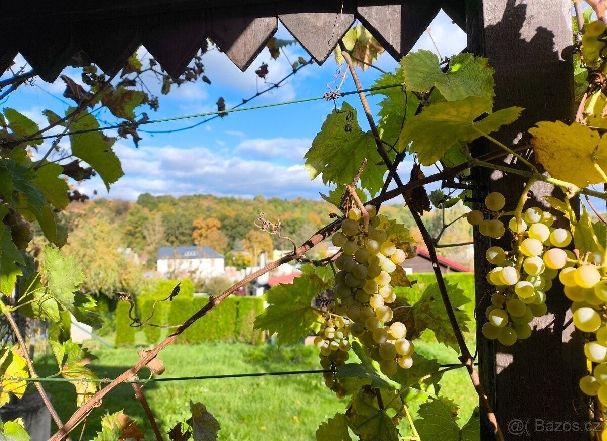 Pronájem zahrada - Ostrava, 708 00