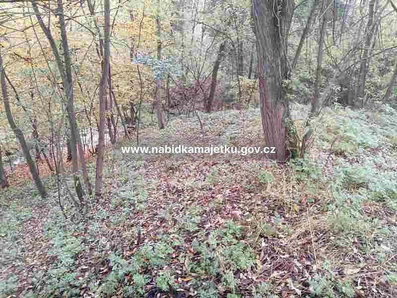 Ostatní, Županovice, okres Příbram - 2