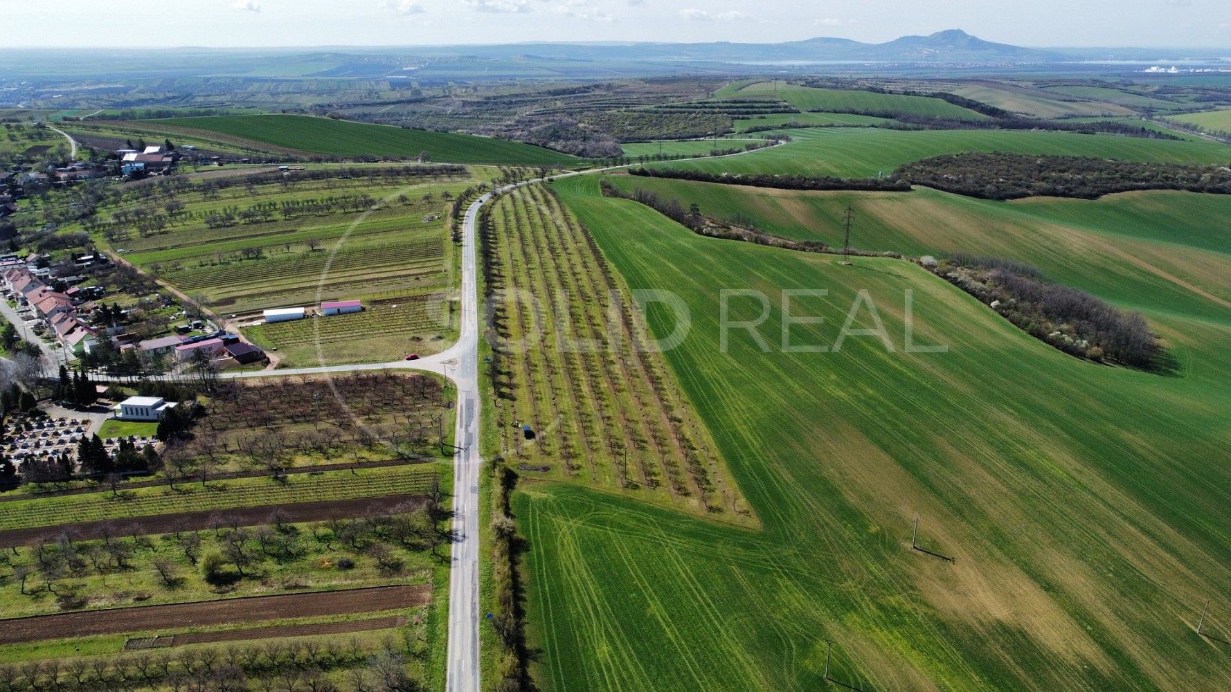 Zemědělský pozemek, 24 643 m²