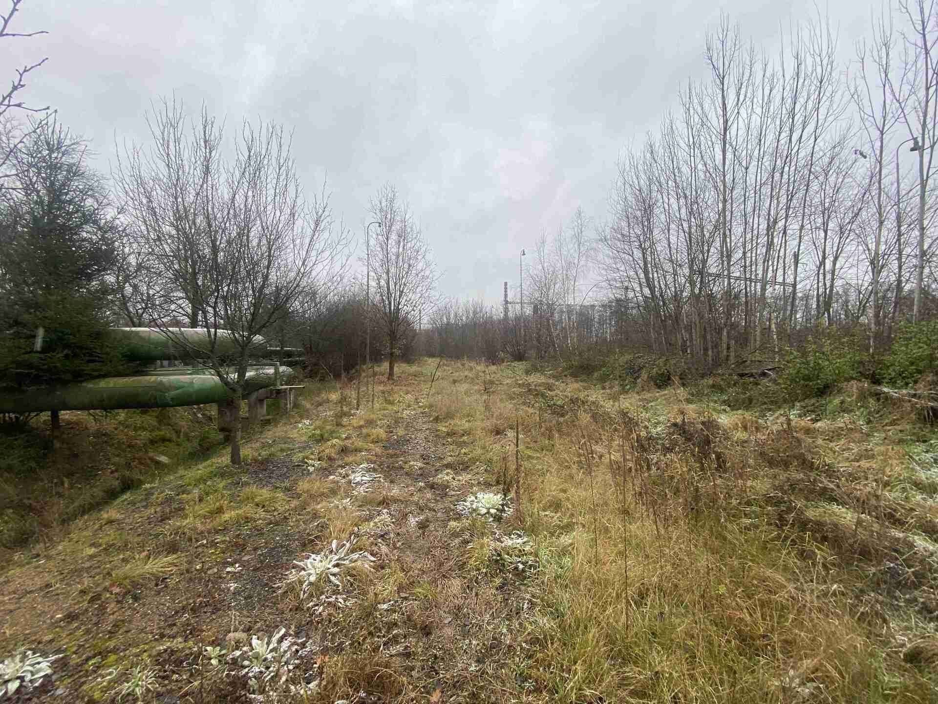 Ostatní, Zliv, 311 m²