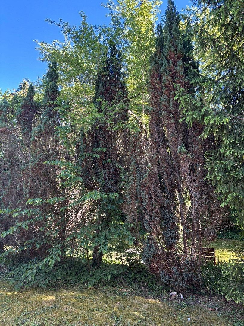 Byt 5+1 · 115 m² · Grünwald Grünwald Bayern 82031 - 4