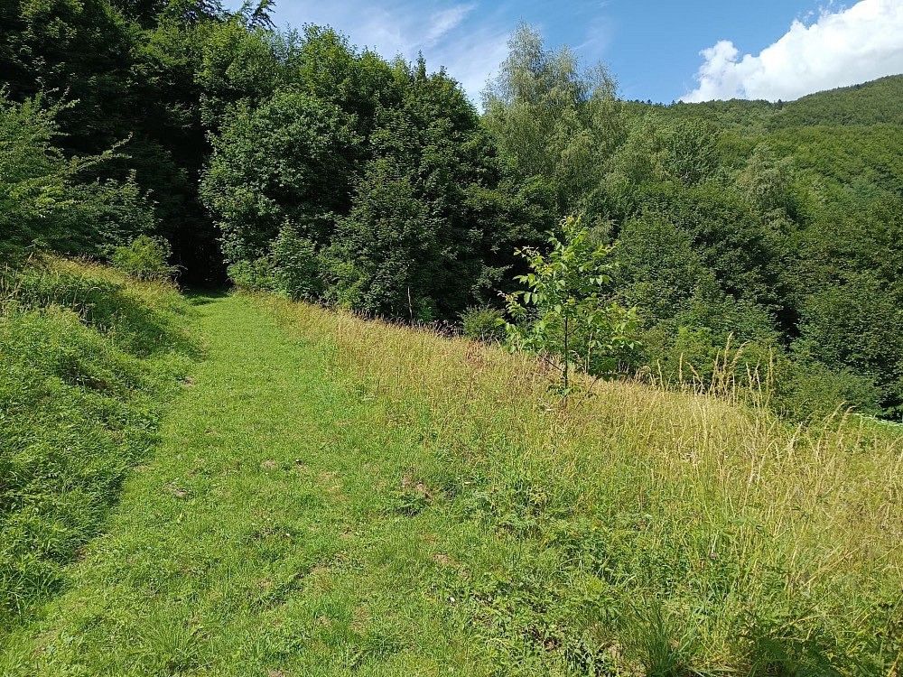 Ostatní, Lopeník, okres Uherské Hradiště, Zlínský kraj - 2