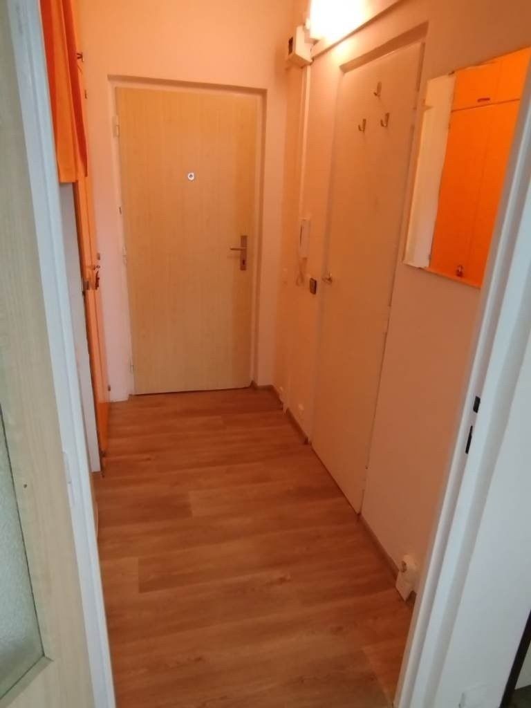 Pronájem byt 1+kk - Halasovo náměstí, Brno Lesná, 22 m² - 5