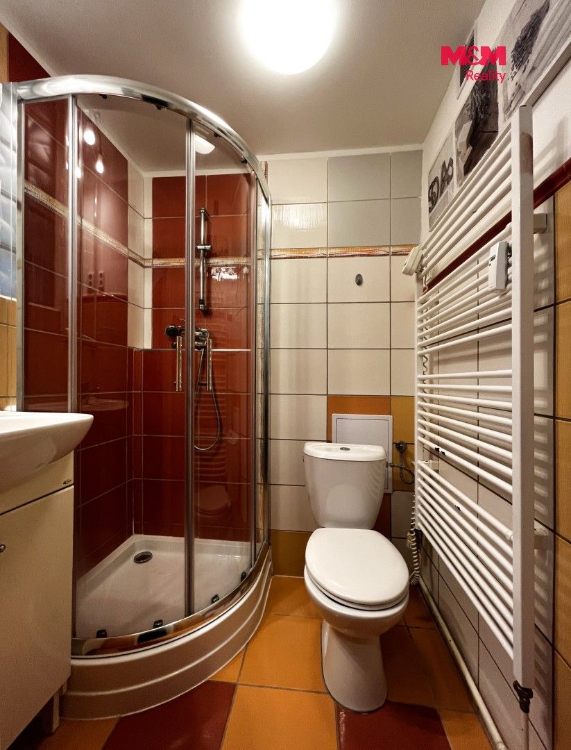 Byt 1+1 · 30 m² · Raisova, Plzeň - 4