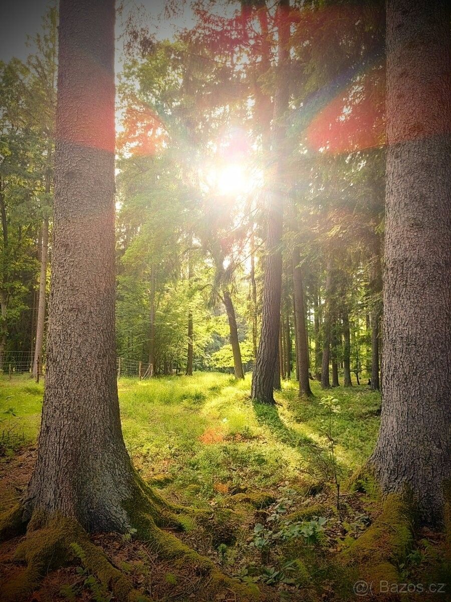 Pronájem pozemek pro bydlení - Seč, 538 07