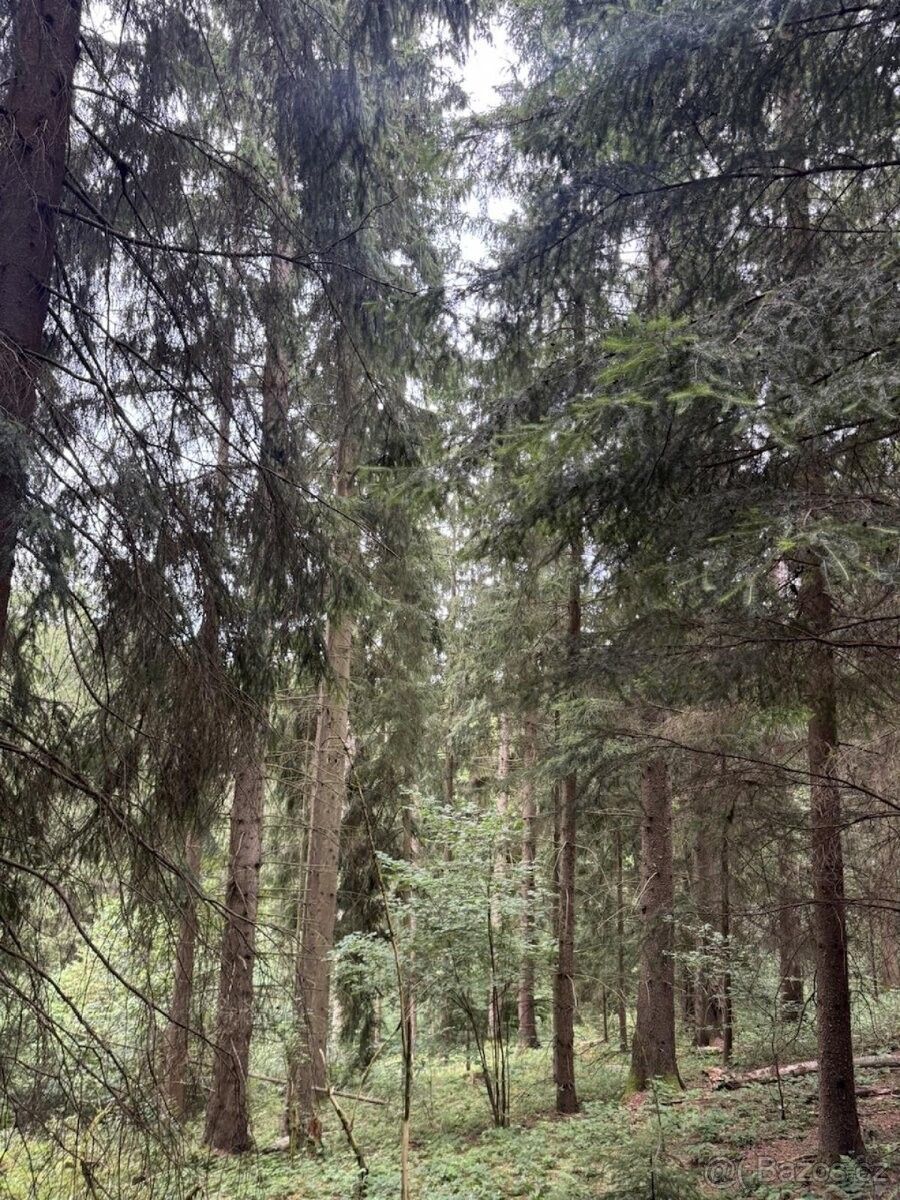 Pozemek pro bydlení