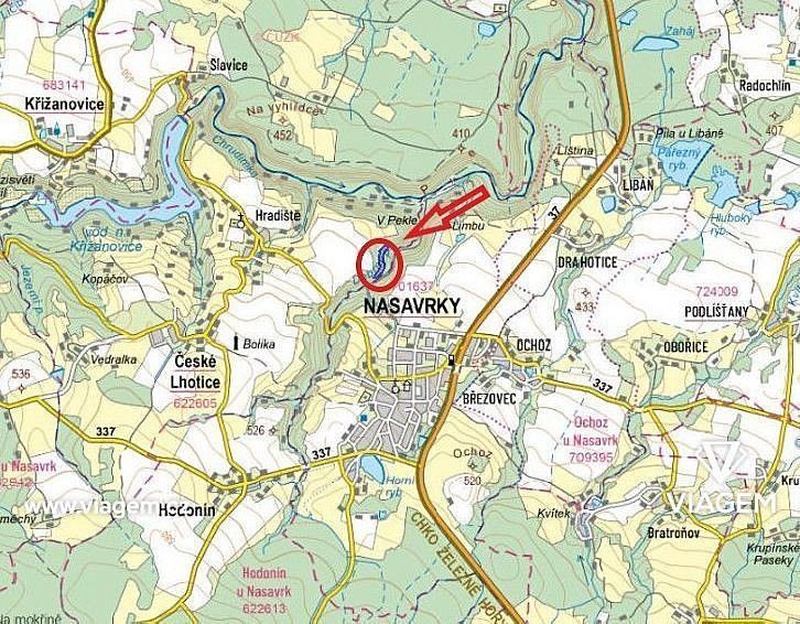 Les · České Lhotice, okres Chrudim, Pardubický kraj - 3