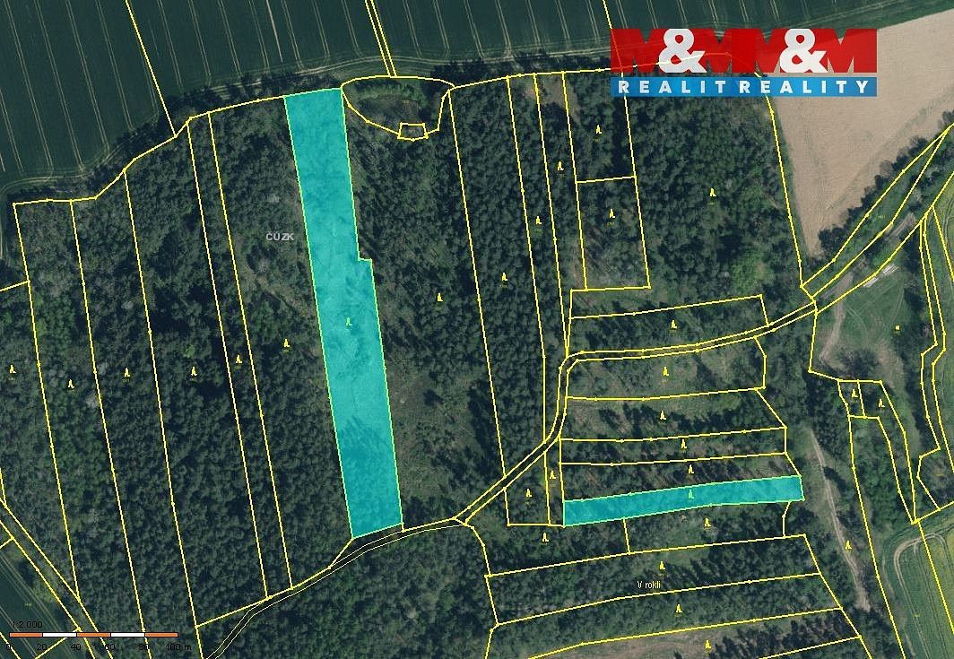 Lesy, Hlohovčice, okres Domažlice, Plzeňský kraj - 2
