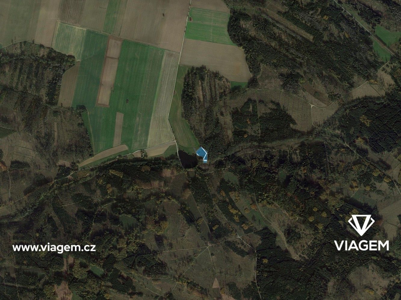Les · Jemnice, okres Třebíč, Kraj Vysočina - 3