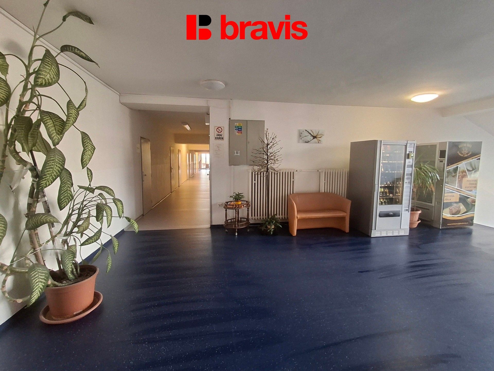 Pronájem kancelář - Tuřanka 574, Brno Slatina, 25 m² - 5