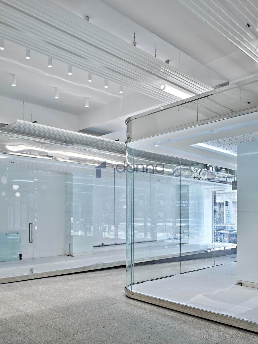 Pronájem obchodní prostory - Praha, 110 00