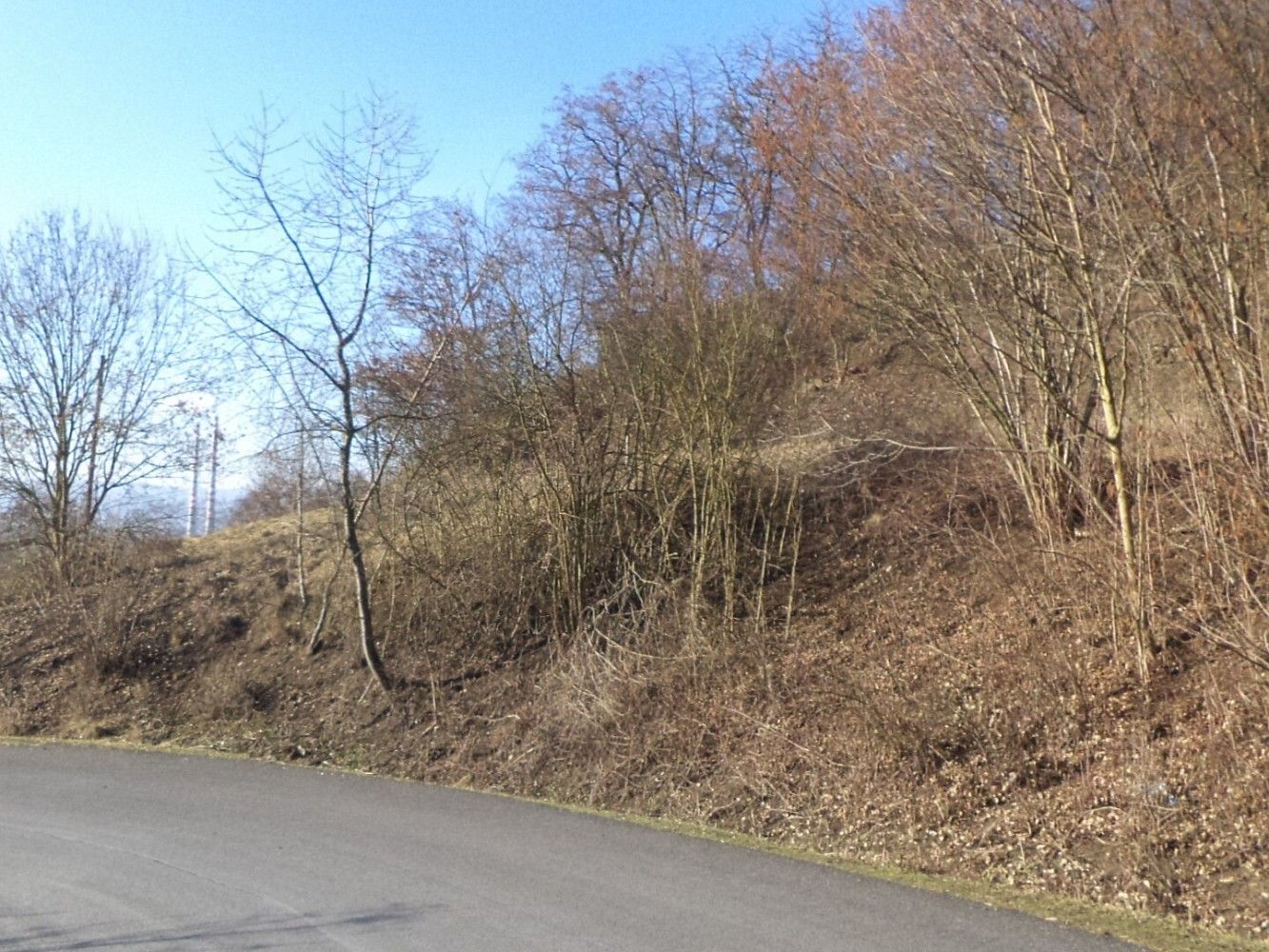 Prodej zahrada - Trmice, okres Ústí nad Labem, Ústecký kraj - 5