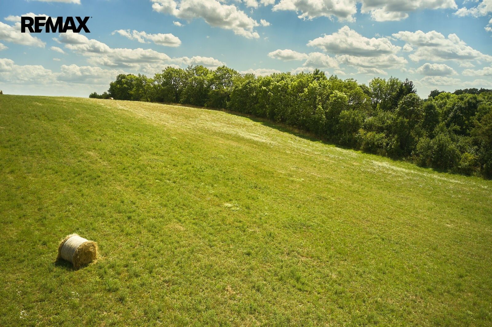 Zemědělský pozemek · 46 475 m² · Jeníkovice - 3