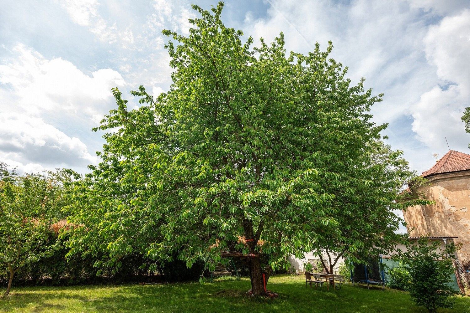 Rodinný dům · 250 m² · Žilina, okres Kladno - 3