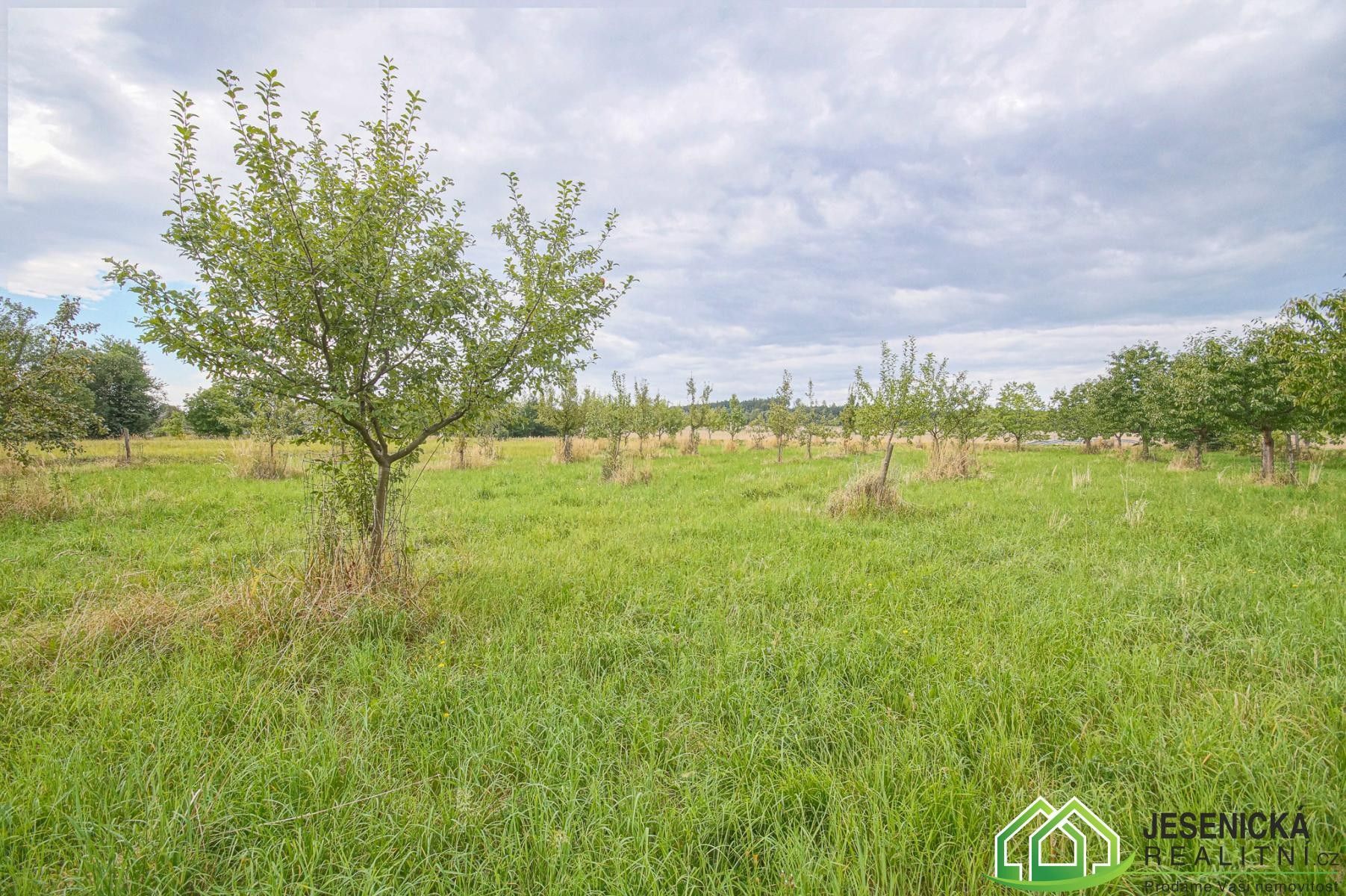 Zemědělský pozemek · 16 809 m² · Velké Kunětice - 3