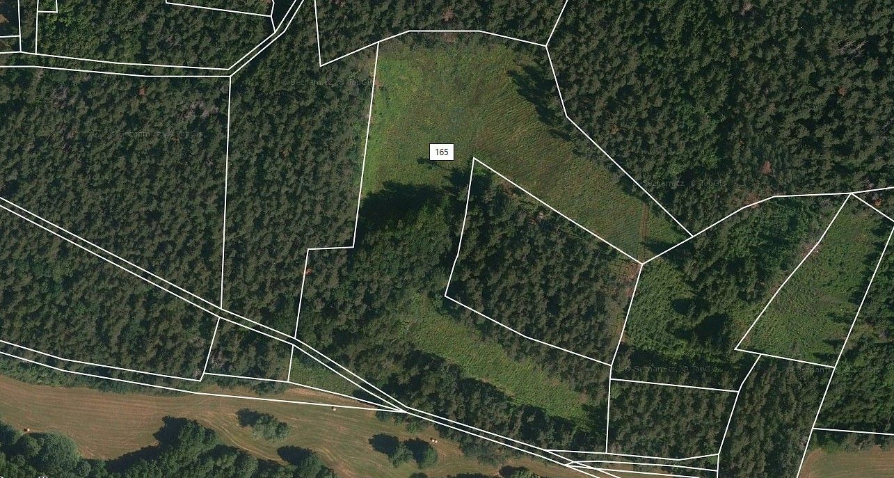 Les · Přechovice, okres Strakonice, Jihočeský kraj - 3