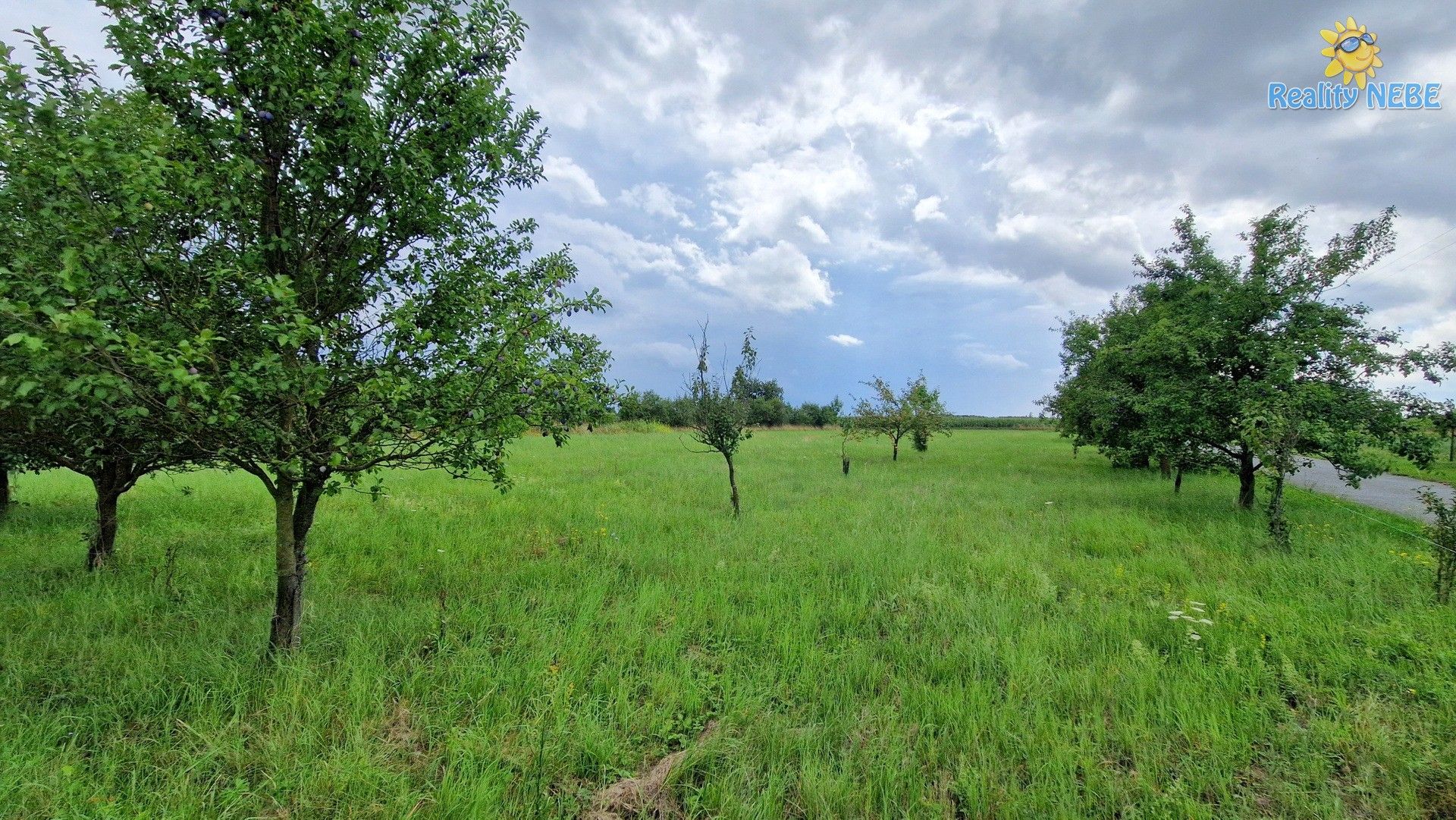 Pozemek pro bydlení · 3 572 m² · Rešice - 4