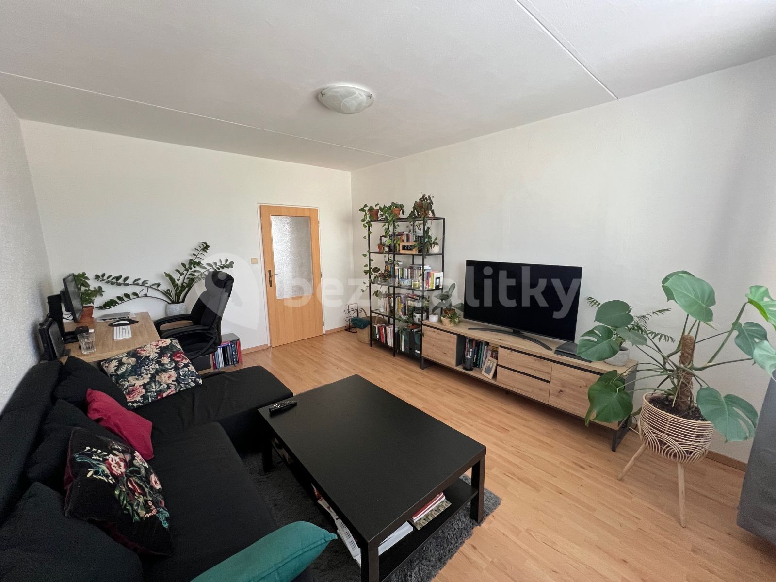 2+1, Jírovcova, Brno - Kohoutovice, Jihomoravský kraj, 59 m² - 1