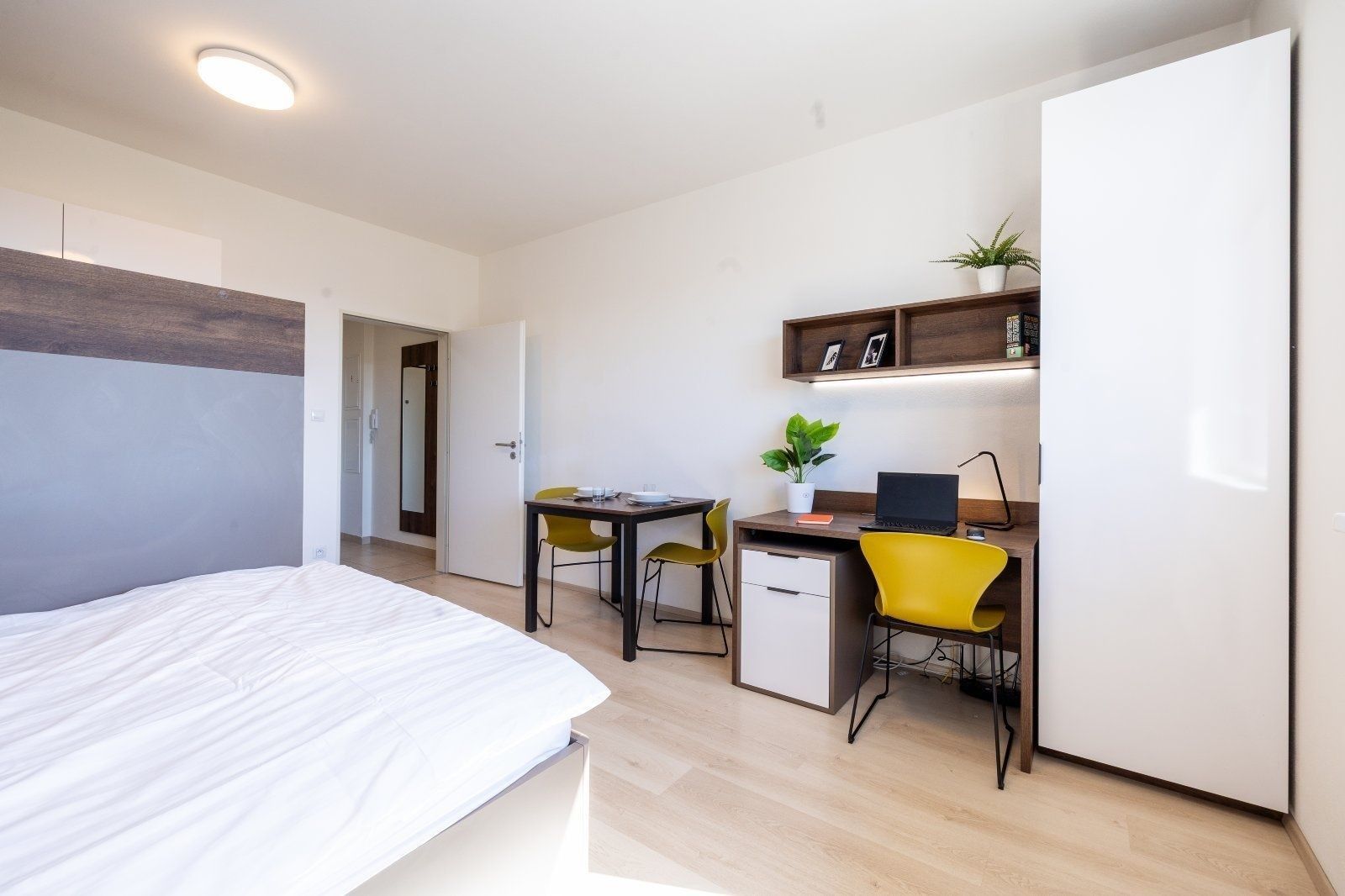 Byt 1+kk · 27 m² · Magisterská, Plzeň - Plzeň, Plzeňský kraj - 4