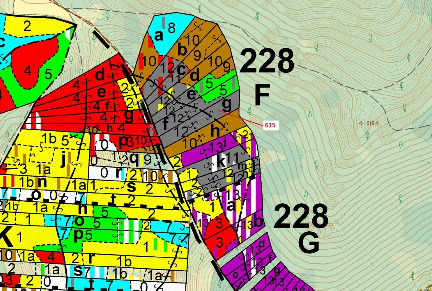 Les · Budětice, okres Klatovy, Plzeňský kraj - 3