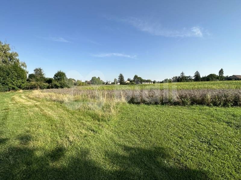 Pozemky pro bydlení, Dolní Bezděkov