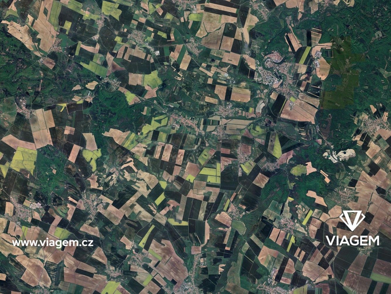 Zemědělský pozemek · Dobelice, okres Znojmo, Jihomoravský kraj - 3