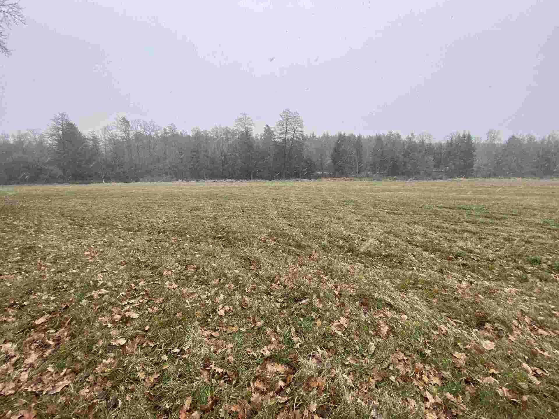 Louka · 16 799 m² · Jindřichův Hradec Horní Žďár - 3