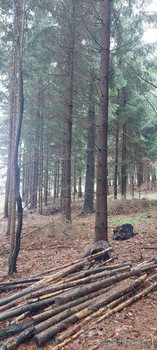 Prodej pozemek pro bydlení - Slavičín, 763 21