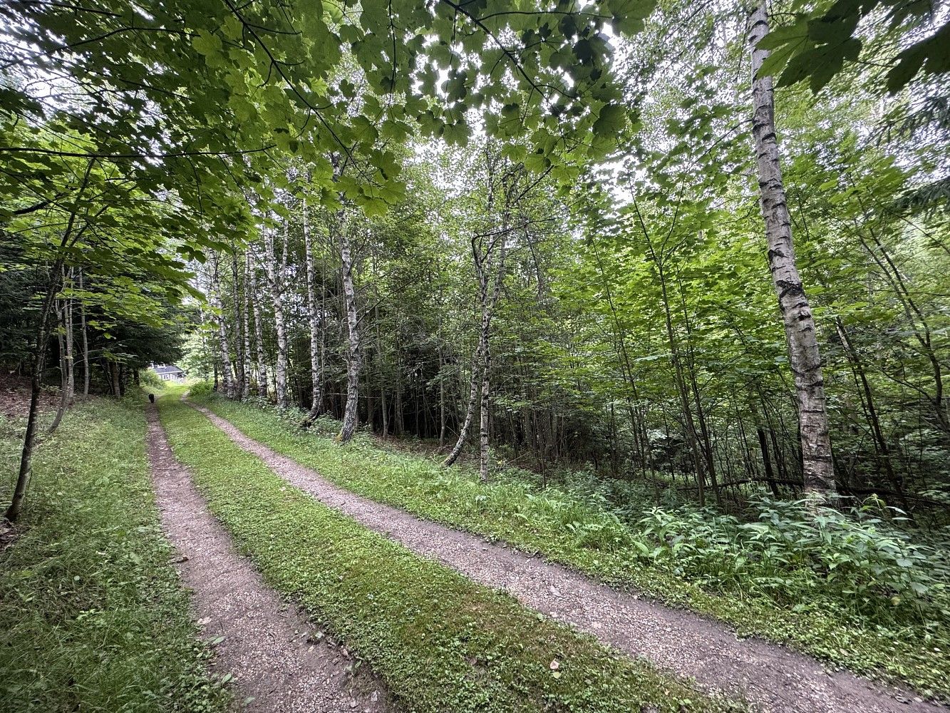 Prodej komerční pozemek - Malá Úpa - Dolní Malá Úpa, okres Trutnov - 5