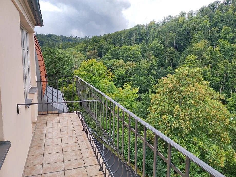 Činžovní dům · 570 m² · Karlovy Vary, Karlovarský kraj - 3
