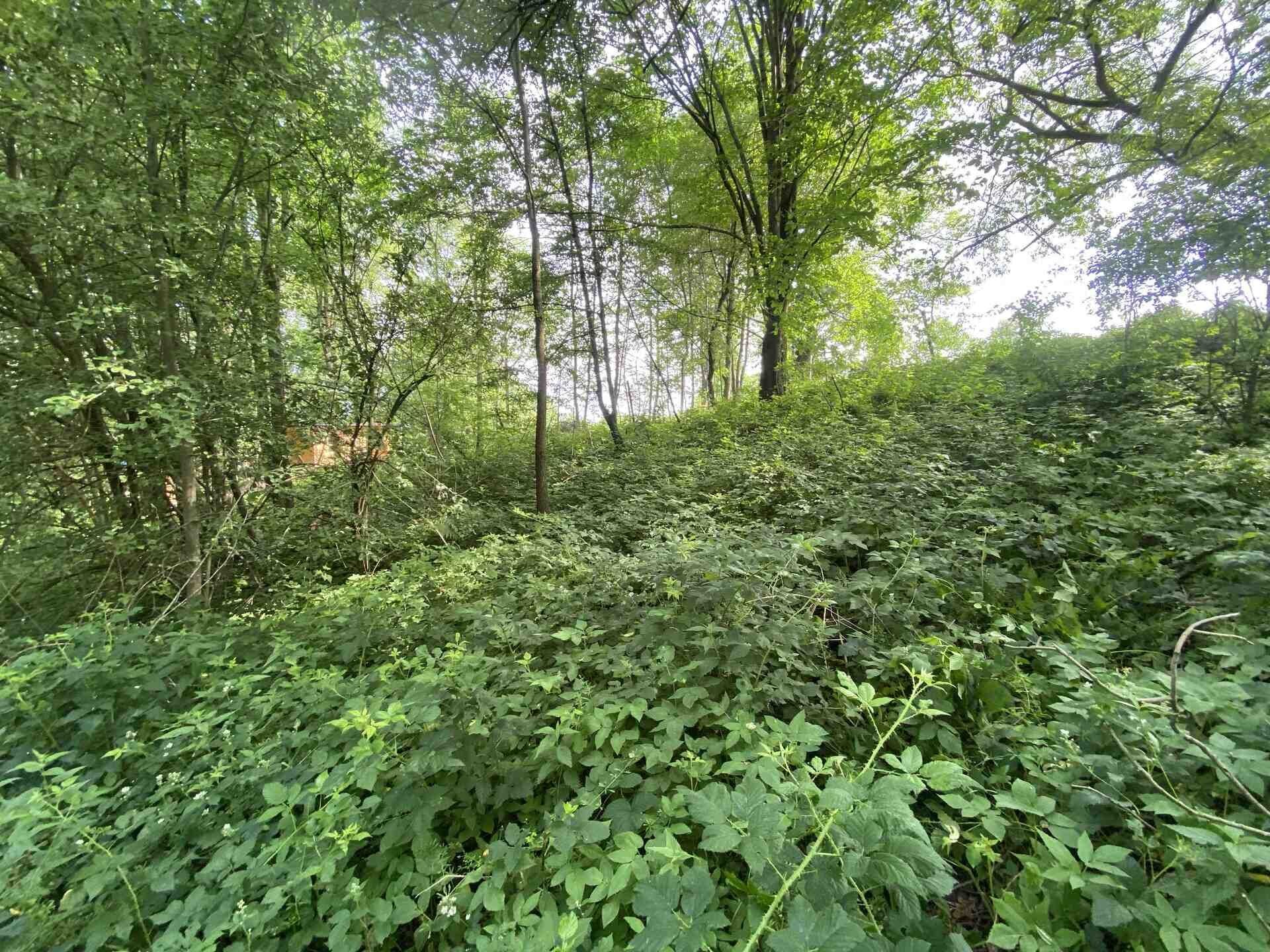 Pozemek pro bydlení · 974 m² · Nové Hrady Nakolice - 4
