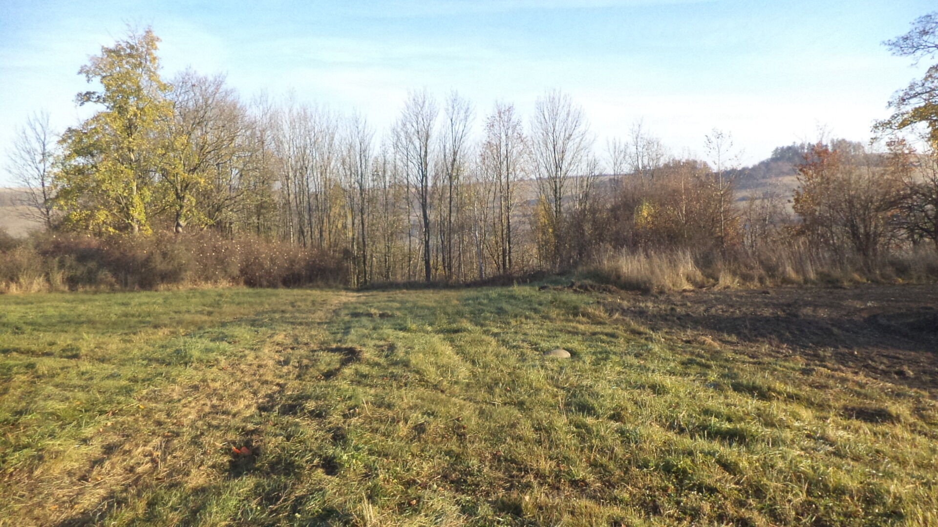 Louka · 60 778 m² · Budišov nad Budišovkou - 4
