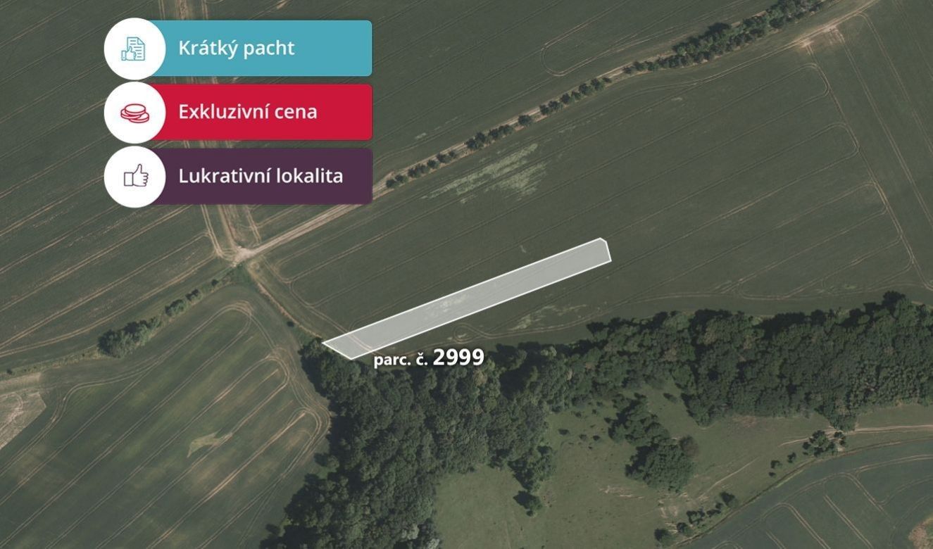 Prodej zemědělský pozemek - Lubná, 3 691 m²