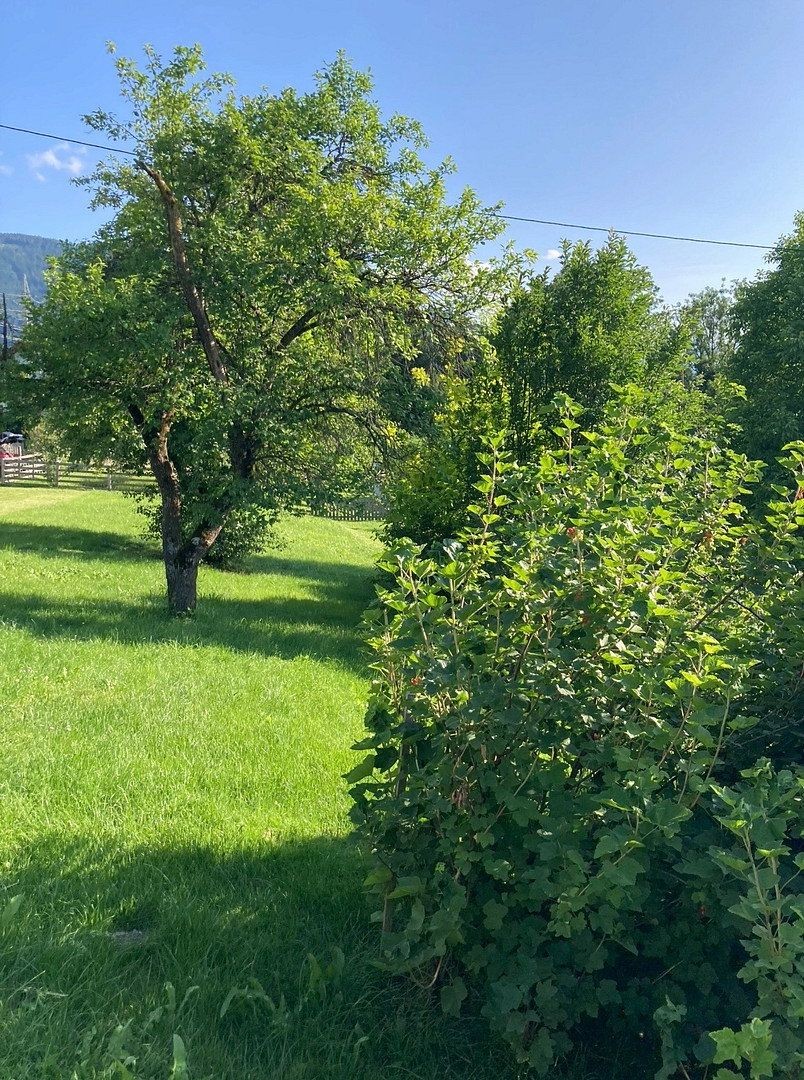 Pozemek pro bydlení · Tachenberg Aigen im Ennstal Steiermark 8943 - 3