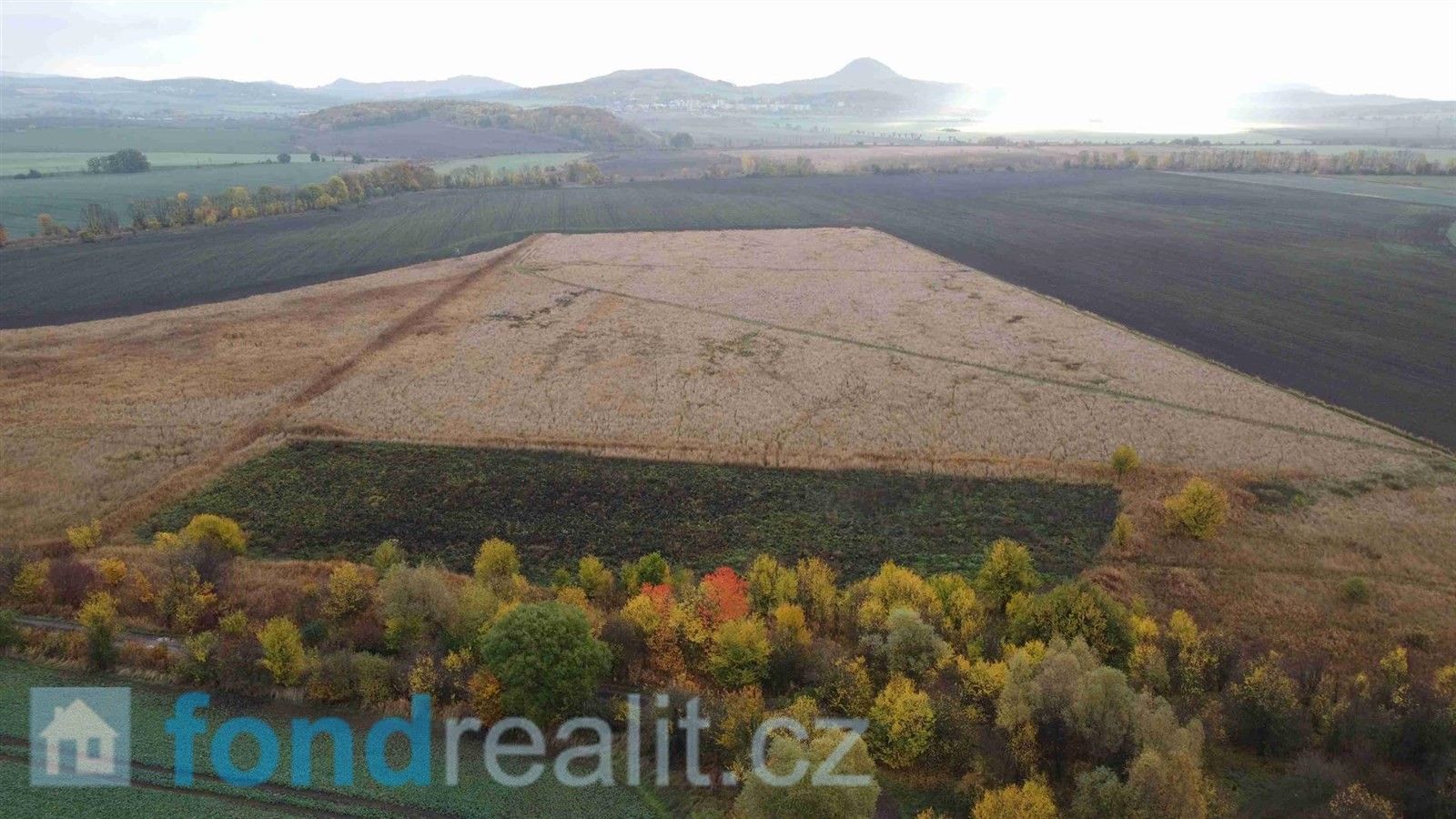 Prodej zemědělský pozemek - Bečov, 41 168 m²