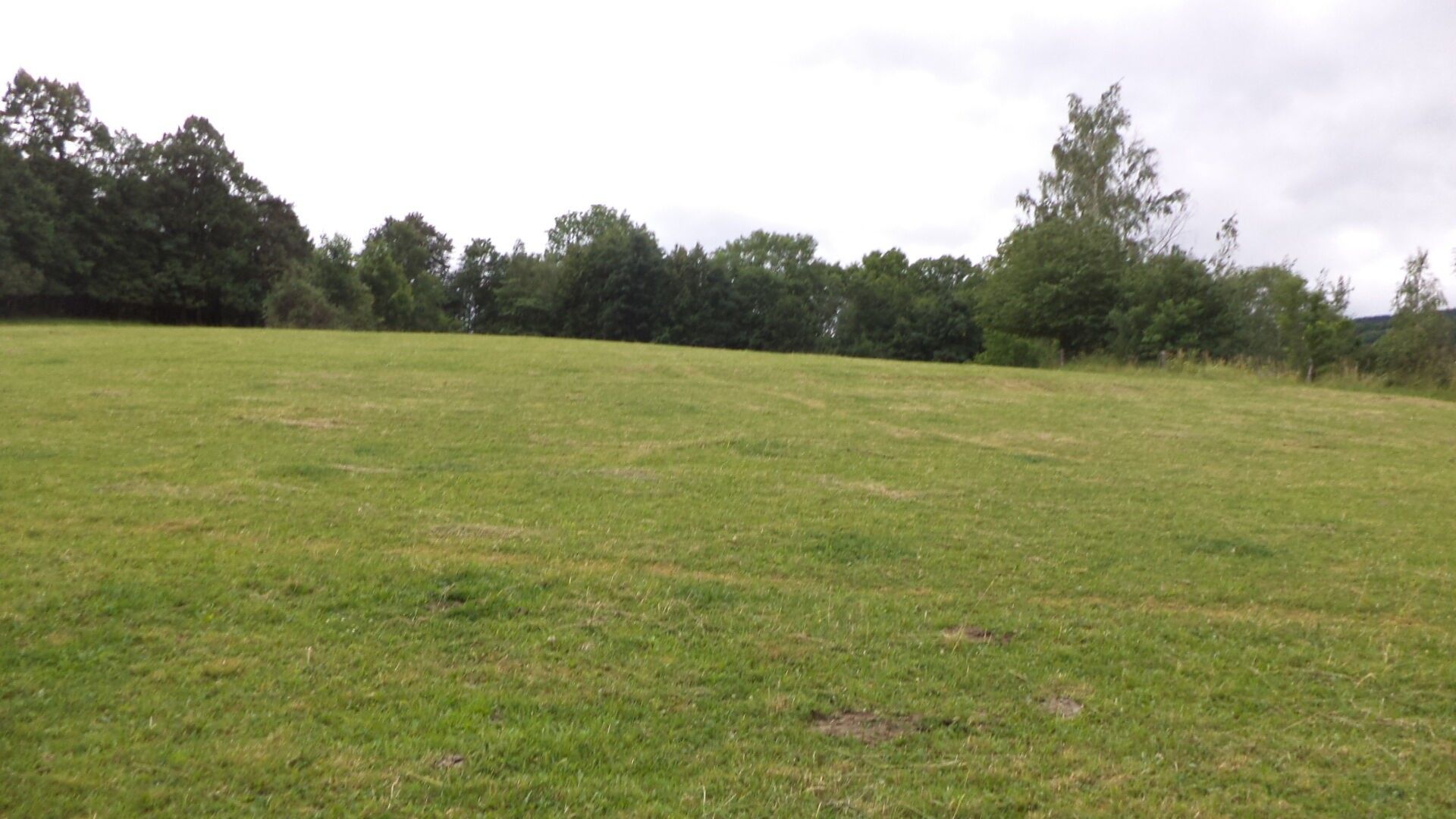 Ostatní, Vlčice, 1 m²