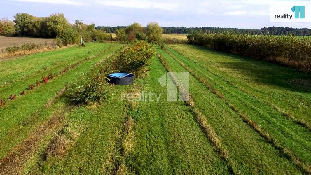 Prodej zahrada - Bílé Vchynice, Kladruby nad Labem, 6 054 m²