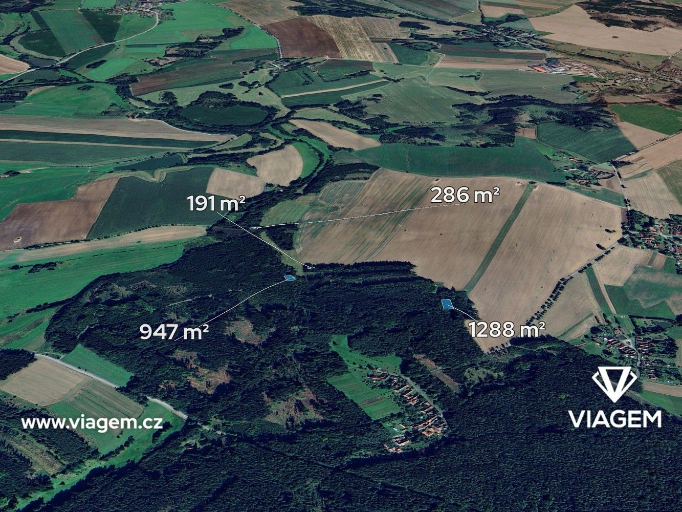 Les · Vyklantice, okres Pelhřimov, Kraj Vysočina - 1