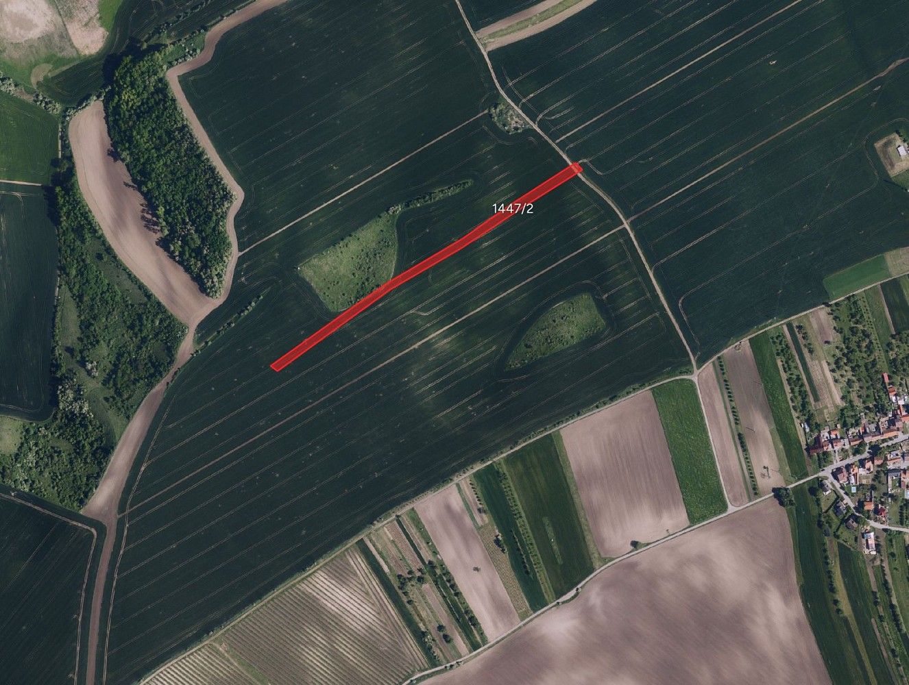 Zemědělské pozemky, Násedlovice, okres Hodonín, Jihomoravský kraj