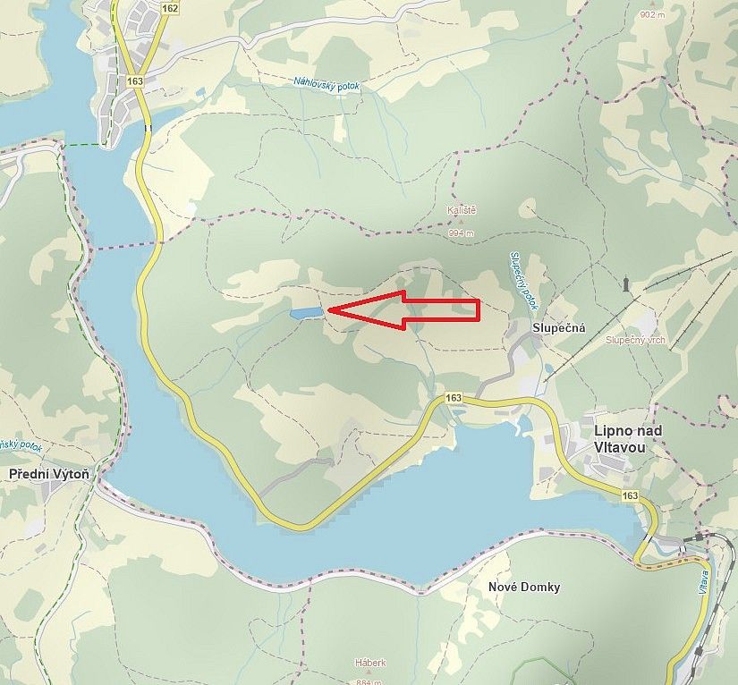 Louka · Lipno nad Vltavou - Slupečná, okres Český Krumlov, Jihočeský kraj - 3