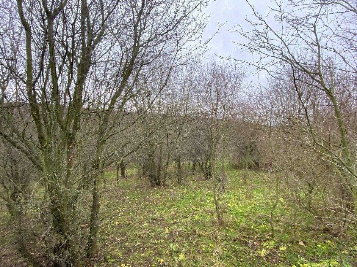 Prodej pozemek pro bydlení - Bohuslavice u Zlína, 763 51