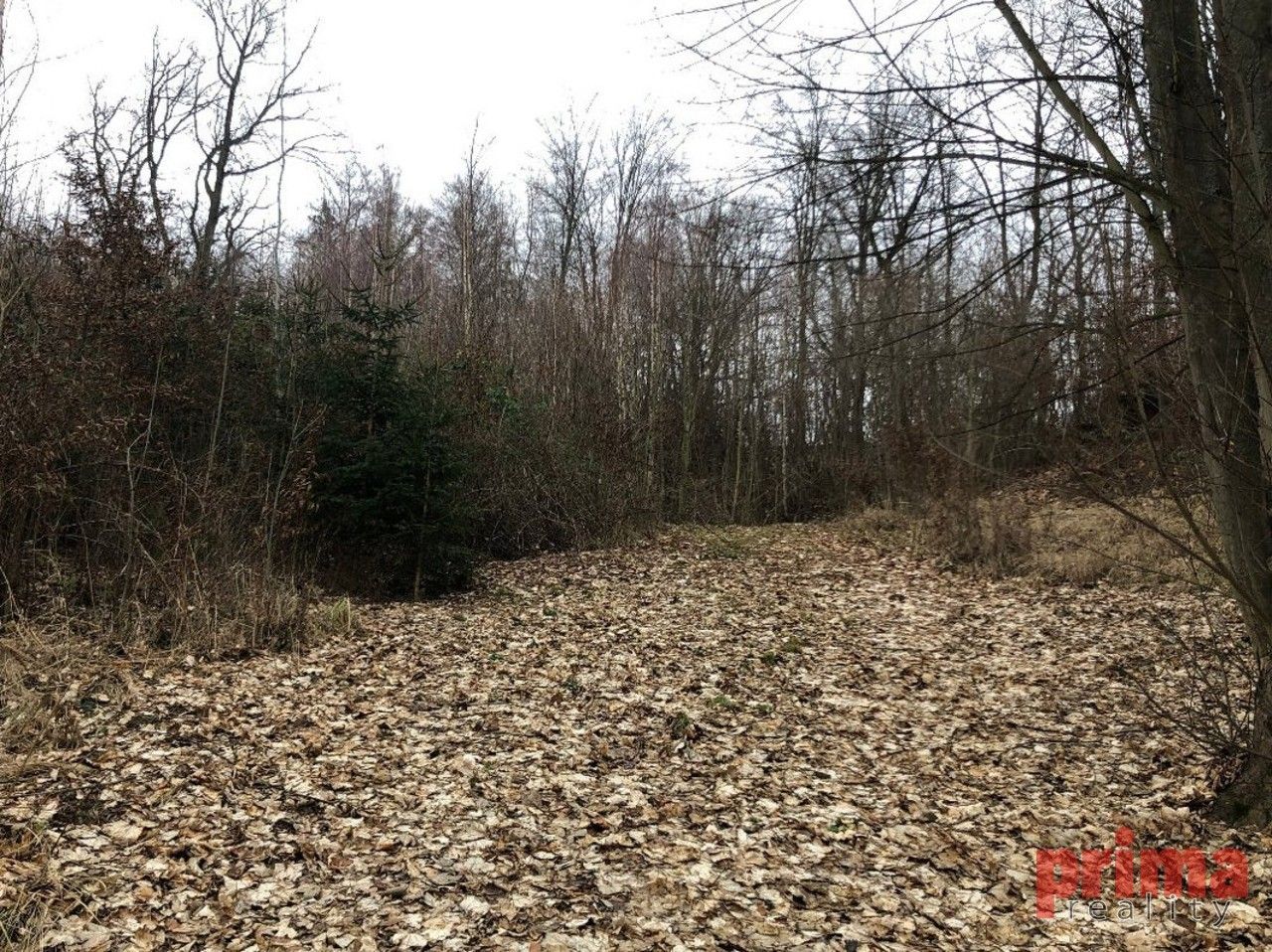 Prodej les - Mirošovice, 6 037 m²