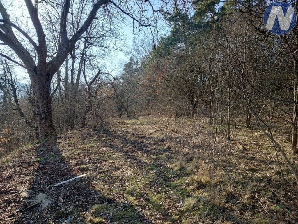 Prodej pozemek - Vlachovo Březí, 1 999 m² - 5