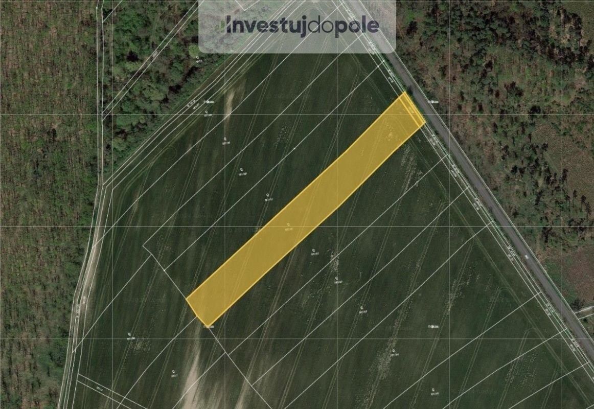Zemědělský pozemek, 1 594 m²