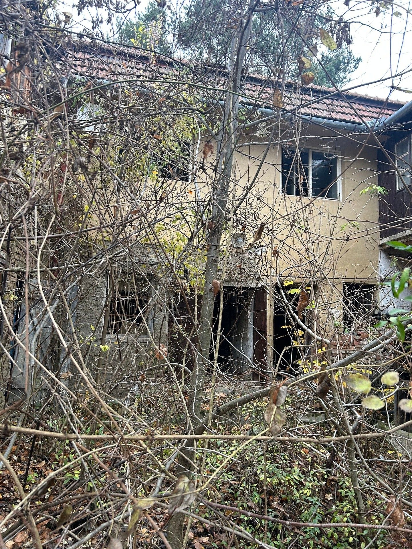 Prodej pozemek pro bydlení - Vinohrady 492, Brno