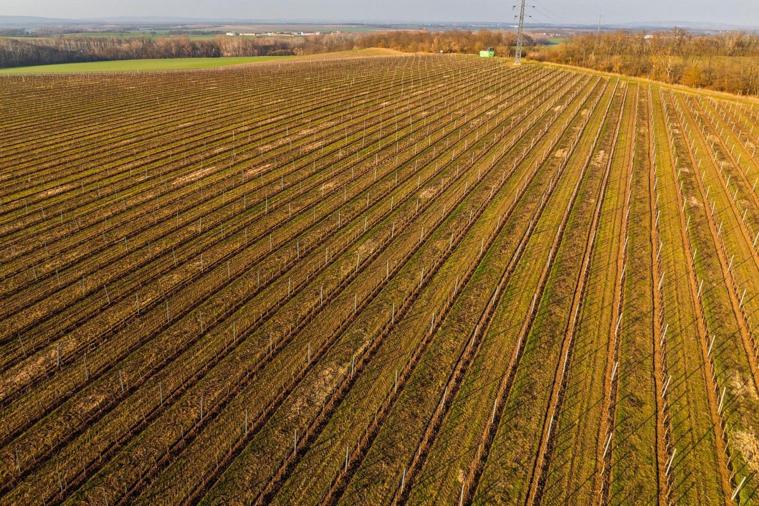 Prodej zemědělský pozemek - Troskotovice, okres Brno-venkov, Jihomoravský kraj - 5