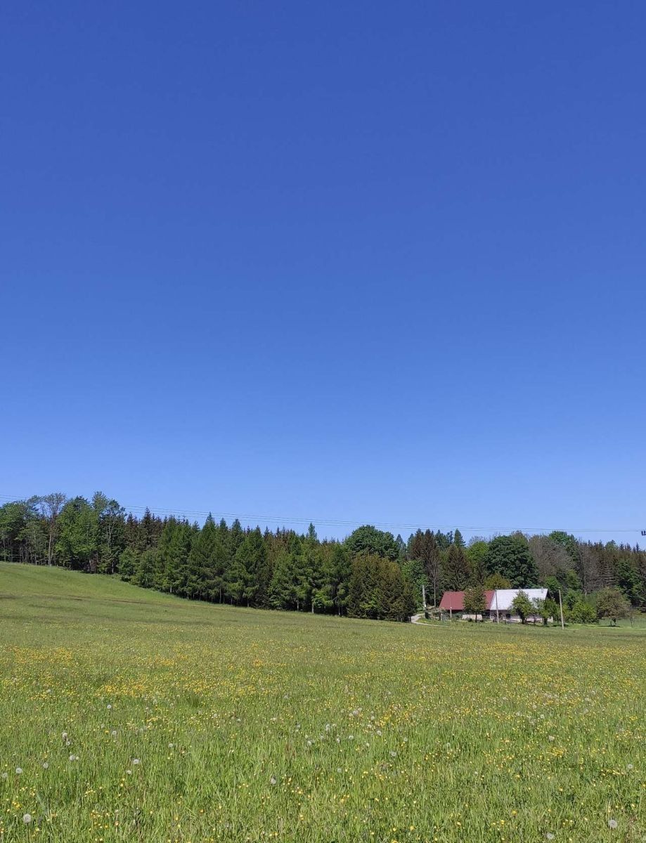 Chata · Liberk - Malý Uhřínov, Královéhradecký kraj - 3