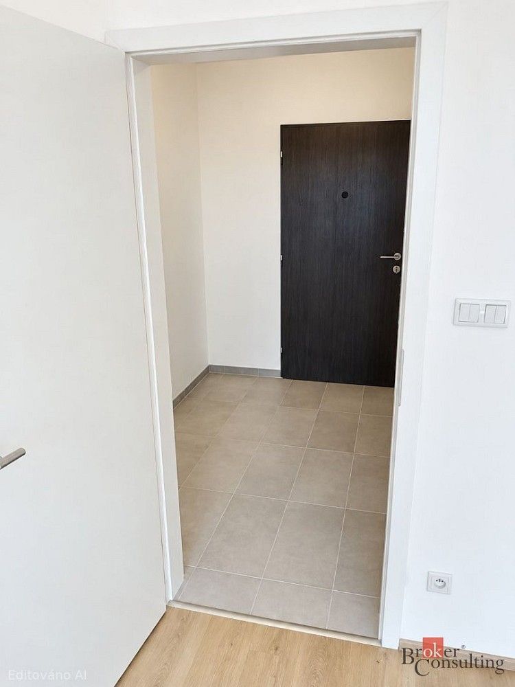 Pronájem byt 1+kk - Železná, Plzeň - Jižní Předměstí, 42 m² - 5
