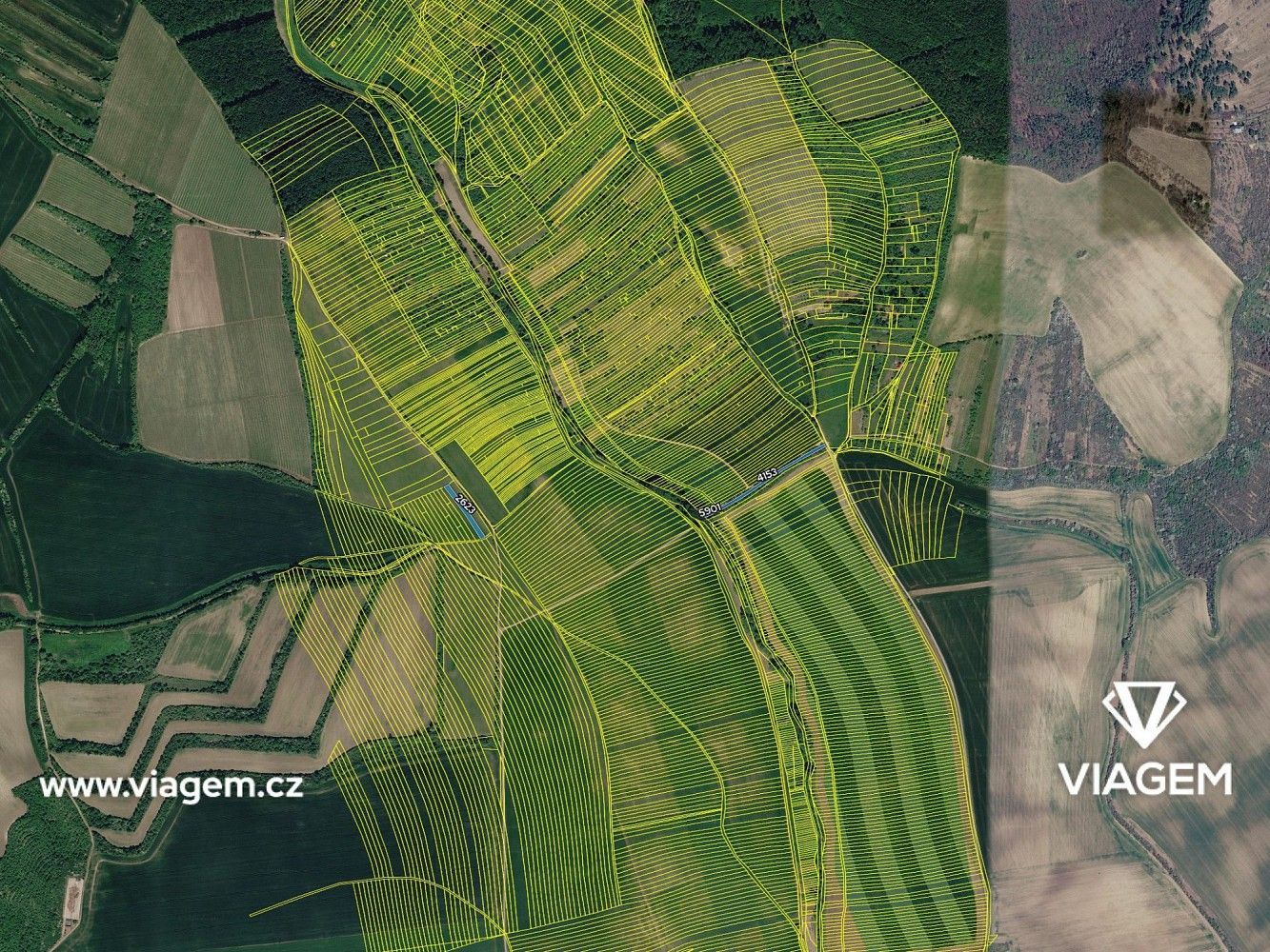 Zemědělský pozemek · Archlebov, okres Hodonín, Jihomoravský kraj - 4